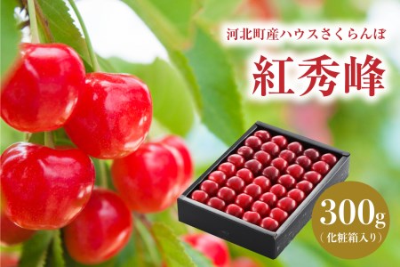 【令和8年産】ハウスさくらんぼ「紅秀峰」300g化粧箱 山形県河北町産【JAさがえ西村山】