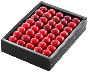 【令和8年産】ハウスさくらんぼ「紅秀峰」300g化粧箱 山形県河北町産【JAさがえ西村山】