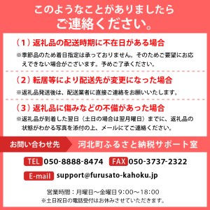 【令和8年産】ハウスさくらんぼ「紅秀峰」300g化粧箱 山形県河北町産【JAさがえ西村山】