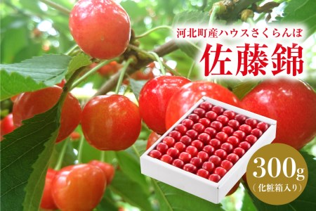 【令和8年産】ハウスさくらんぼ「佐藤錦」300g 化粧箱 山形県河北町産【JAさがえ西村山】