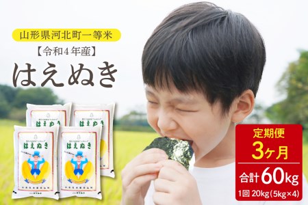 ※2023年4月後半スタート※【令和4年産】はえぬき60kg(20kg×3回)定期便 一等米 山形県河北町産【丹野商店】