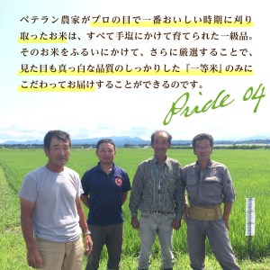 【令和4年産米】2023年8月後半発送 はえぬき10kg（5kg×2袋）一等米 山形県産【丹野商店】