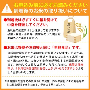 【令和4年産米】2023年8月後半発送 はえぬき10kg（5kg×2袋）一等米 山形県産【丹野商店】