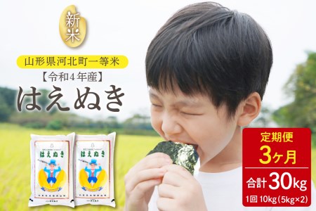 ※2022年12月後半スタート※【令和4年産】はえぬき30kg(10kg×3回)定期便 一等米 山形県河北町産【丹野商店】