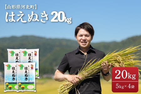 ※2023年3月上旬発送※はえぬき 20kg(5kg×4袋)【令和4年産】一等米 山形県河北町産 【JAさがえ西村山】