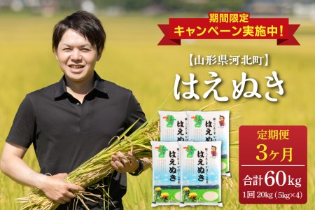 ※2023年2月上旬スタート※はえぬき 60kg(20kg×3ヶ月)定期便【令和4年産】一等米 山形県河北町産 【JAさがえ西村山】