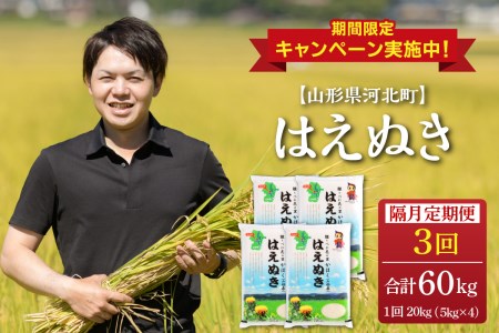 ※2023年2月中旬スタート※はえぬき 60kg(20kg×3回)隔月定期便【令和4年産】一等米 山形県河北町産 【JAさがえ西村山】