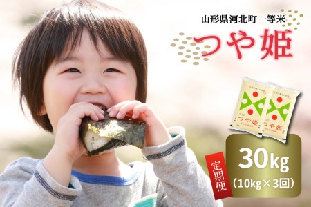 ☆2023年1月中旬スタート☆ つや姫 計30kg (10kg×3回)定期便 【令和4年産】一等米 山形県河北町産【米COMEかほく協同組合】