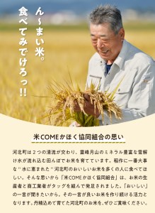 【令和5年産米】※2024年1月下旬スタート※ はえぬき60kg（20kg×3回）隔月定期便 山形県産 一等米【米COMEかほく協同組合】