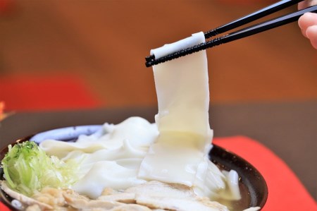 A-051 新食感の温肉帯麺(うどん)生麺5人前