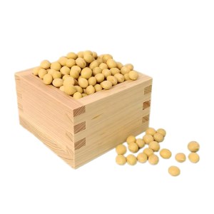 H-032 【河北町産】大豆 で手作り木製豆腐キット
