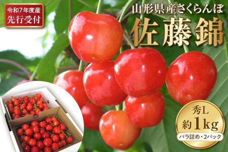 【令和7年産先行予約】さくらんぼ佐藤錦 秀L1kg以上(500gバラ詰め×2パック)山形県河北町産【晴天畑】　（山形県 山形県河北町 河北町 フルーツ 2025年 令和7年産 さくらんぼ サクランボ 佐藤錦 ）