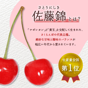 【令和7年産先行予約】さくらんぼ佐藤錦 秀L1kg以上(500gバラ詰め×2パック)山形県河北町産【晴天畑】　（山形県 山形県河北町 河北町 フルーツ 2025年 令和7年産 さくらんぼ サクランボ 佐藤錦 ）