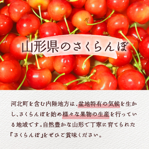 【令和7年産先行予約】さくらんぼ佐藤錦 秀L1kg以上(500gバラ詰め×2パック)山形県河北町産【晴天畑】　（山形県 山形県河北町 河北町 フルーツ 2025年 令和7年産 さくらんぼ サクランボ 佐藤錦 ）