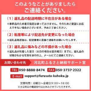 【令和7年産先行予約】さくらんぼ佐藤錦 秀L1kg以上(500gバラ詰め×2パック)山形県河北町産【晴天畑】　（山形県 山形県河北町 河北町 フルーツ 2025年 令和7年産 さくらんぼ サクランボ 佐藤錦 ）