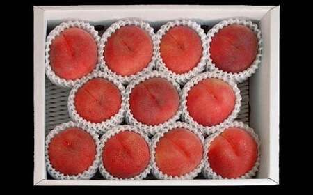 FYN6-227 ≪2026年先行予約≫贈答用 山形県産 おまかせ 白桃 3kg(8~14玉) 秀品 2026年8月下旬から順次発送 柔らかくなる桃 夏果実 果実 果物 くだもの フルーツ 桃 もも ピーチ 化粧箱 贈答 ギフト プレゼント 産地直送 山形県 西川町 月山