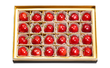 FYN9-926 ≪2026年先行予約≫5月10日母の日 贈答用 山形県産 さくらんぼ 佐藤錦 24粒 化粧箱入 2026年5月上旬から発送 加温 ハウス栽培 果実 果物 くだもの フルーツ 食品 デザート 化粧箱 贈答 ギフト プレゼント母 母の日 感謝 産地直送 山形県 西川町 月山