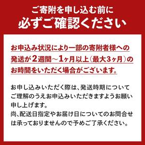 FYN6-154 山形県産 雪若丸 玄米ごはん パックご飯 24個セット 玄米 パックライス パック ごはん ライス こめ 米 ゆきわかまる ブランド米 簡単 手軽 時短 保存食 備蓄 山形県 西川町 月山