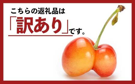 FYN6-050 ≪2026年先行予約≫加工用 山形県 品種おまかせ さくらんぼ 500g バラパック 2026年6月上旬頃から順次発送 果物 くだもの フルーツ 夏果物 サクランボ チェリー 訳あり ご自宅用 ご家庭用 農業者支援品 農家支援品 山形県 西川町 月山