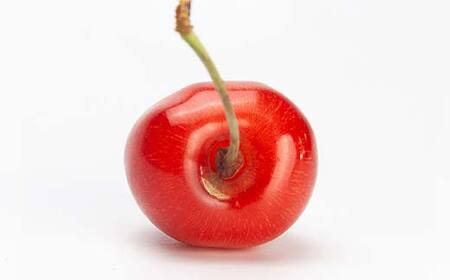 FYN6-050 ≪2026年先行予約≫加工用 山形県 品種おまかせ さくらんぼ 500g バラパック 2026年6月上旬頃から順次発送 果物 くだもの フルーツ 夏果物 サクランボ チェリー 訳あり ご自宅用 ご家庭用 農業者支援品 農家支援品 山形県 西川町 月山