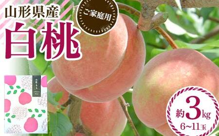 FYN6-073 ≪2026年先行予約≫ ご家庭用 山形県産 品種おまかせ 白桃 約3kg（6～11玉） 2026年8月中旬から順次発送 柔らかくなる桃 はくとう 桃 もも モモ 果物 くだもの 夏果実 フルーツ 訳あり 農業者支援 家庭用 自宅用 産地直送 山形県 西川町 月山