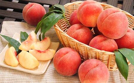 FYN6-228 ≪2026年先行予約≫贈答用 山形県産 おまかせ 白桃 5kg(13～20玉) 秀品 2026年8月下旬から順次発送 柔らかくなる桃 夏果実 果実 果物 くだもの フルーツ 桃 もも ピーチ 化粧箱 贈答 ギフト プレゼント 産地直送 山形県 西川町 月山