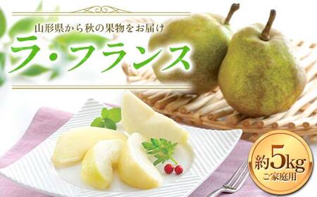 FYN6-057 ≪2026年先行予約≫ご家庭用 山形県産 西洋梨 ラ・フランス 約5kg (12～20玉) 2026年11月中旬から順次発送 洋梨 洋なし ラフランス 秋果実 果物 くだもの フルーツ 訳あり 家庭用 自宅用 産地直送 山形県 西川町 月山