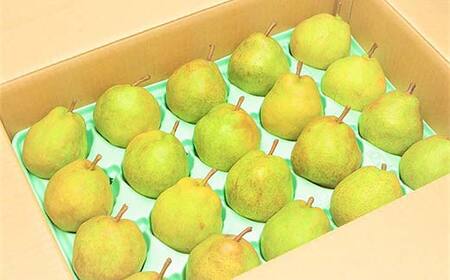 FYN6-057 ≪2026年先行予約≫ご家庭用 山形県産 西洋梨 ラ・フランス 約5kg (12～20玉) 2026年11月中旬から順次発送 洋梨 洋なし ラフランス 秋果実 果物 くだもの フルーツ 訳あり 家庭用 自宅用 産地直送 山形県 西川町 月山