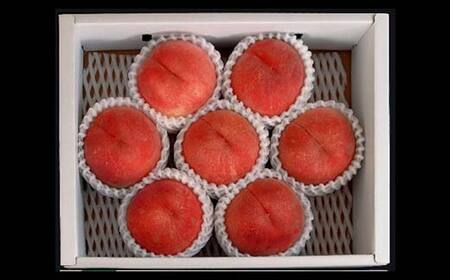 FYN6-225 ≪2026年先行予約≫贈答用 山形県産 おまかせ 白桃 2kg(6~8玉)秀品 2026年8月下旬から順次発送 柔らかくなる桃 夏果実 果実 果物 くだもの フルーツ 桃 もも ピーチ 化粧箱 贈答 ギフト プレゼント 産地直送 山形県 西川町 月山