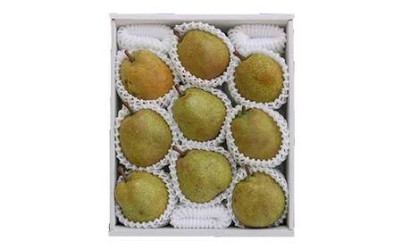 FYN6-165 贈答用 山形県産 洋梨 ラ・フランス 約3.2kg(8～10玉) 2025年11月上旬から順次発送 洋梨 洋なし ラフランス 秋果実 果物 くだもの フルーツ 贈答 贈り物 ギフト プレゼント 3kg 産地直送 山形県 西川町 月山