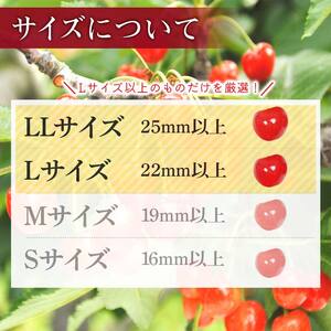 FYN6-254 ≪2026年先行予約≫山形県産 さくらんぼ 品種おまかせ(佐藤錦・紅秀峰など) 350g 秀/L以上 バラパック詰め 2026年6月中旬頃より発送 果物 くだもの フルーツ 夏果実 サクランボ チェリー 桜桃 高級 化粧箱 ギフト箱 贈り物 贈答 ギフト プレゼント 自宅 家庭 産地直送 山形県 西川町 月山