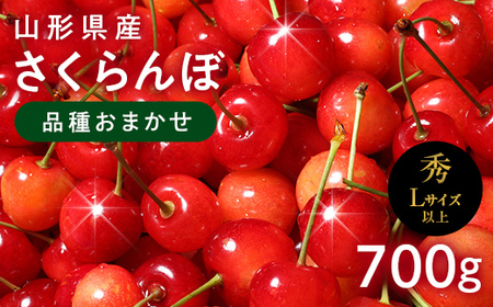FYN6-527 ≪2026年先行予約≫山形県産 さくらんぼ 品種おまかせ(佐藤錦・紅秀峰など) 700g(350g×2) 秀/L以上 バラパック詰め 2026年6月中旬頃より発送 果物 くだもの フルーツ 夏果実 サクランボ チェリー 桜桃 高級 化粧箱 ギフト箱 贈り物 贈答 ギフト プレゼント 自宅 家庭 産地直送 山形県 西川町 月山