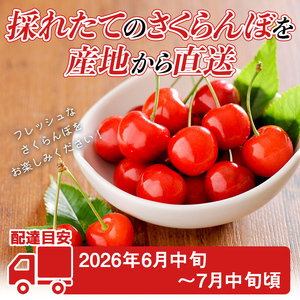 FYN6-527 ≪2026年先行予約≫山形県産 さくらんぼ 品種おまかせ(佐藤錦・紅秀峰など) 700g(350g×2) 秀/L以上 バラパック詰め 2026年6月中旬頃より発送 果物 くだもの フルーツ 夏果実 サクランボ チェリー 桜桃 高級 化粧箱 ギフト箱 贈り物 贈答 ギフト プレゼント 自宅 家庭 産地直送 山形県 西川町 月山