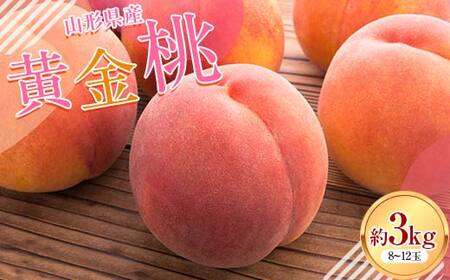 FYN6-114 ≪2026年先行予約≫山形県産 黄金桃 約3kg(8~12玉) 秀品 柔らかくなる 2026年8月中旬から順次発送 黄桃 黄色 桃 もも モモ 果物 くだもの 夏果実 フルーツ 産地直送 山形県 西川町 月山