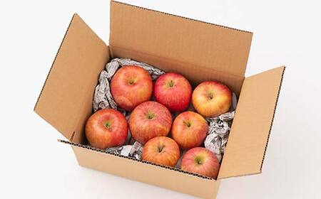 FYN6-311 ご家庭用 山形県産 品種おまかせ りんご 赤色系 約2kg 2025年10月上旬から順次発送 果物 くだもの フルーツ 林檎 リンゴ アップル 秋果実 生産者支援 農業者支援 支援品 自宅用 家庭用 訳アリ ワケアリ 山形県 西川町 月山