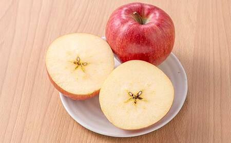 FYN6-310 山形県産 品種おまかせ りんご 赤色系 約3kg(6~12玉) 準秀品 2025年10月上旬から順次発送 果物 くだもの フルーツ 林檎 リンゴ アップル 秋果実自宅用 家庭用 訳アリ ワケアリ 山形県 西川町 月山