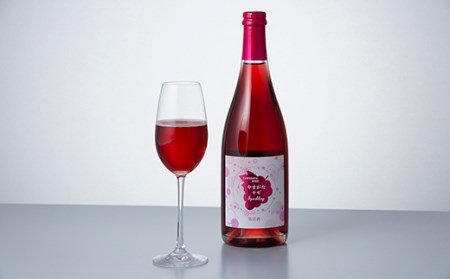FYN9-740 月山山麓 スパークリングワイン飲み比べセット（セイベル・ロゼ）750ml×2 やや辛口 山形県 西川町