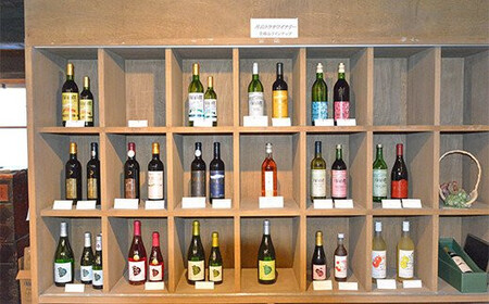 FYN6-105 【数量限定】月山山麓ワイン 赤・白 飲み比べ2本セット（メルロー・シャルドネヴィンテージ）720ml×2 ミディアムボディ 辛口 山形県 西川町