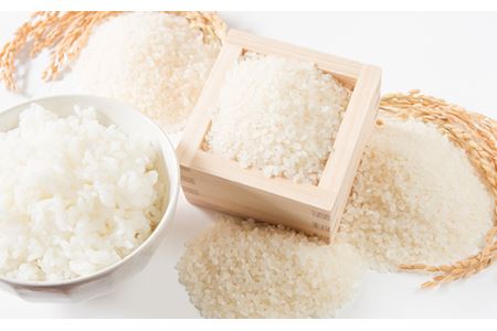 FYN9-426 【定期便4回】 山形県西川町のお米 食べ比べセット 各5kg 食べ比べ 食べくらべ 米