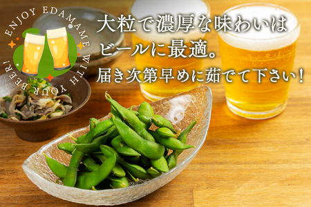 FYN9-388 ≪2026年先行予約≫山形県産 秘伝豆 2.5kg(250g×10袋)2026年9月中旬から順次発送 小分け 個包装 青大豆 枝豆 えだまめ 野菜 やさい おつまみ ビール 国産 山形県 西川町 月山