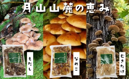 Fyn9 135 山菜ときのこの里西川町 天然きのこ水煮3種セット 山形県西川町 ふるさと納税サイト ふるなび Fyn9 135 山菜ときのこの里西川町 天然きのこ水煮3種セット 山形県西川町 ふるさと納税サイト ふるなび