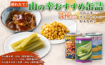 FYN6-442 採れたて山の幸 山菜 きのこなど おすすめ缶詰3種セット（月山ふき・スイートコーン・原木なめこ） 水煮 加工食品 山形県 西川町