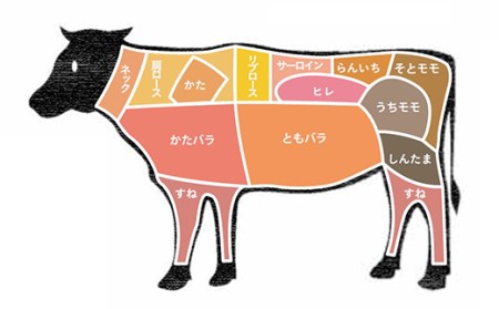 FYN9-556 【厳選】山形県産 黒毛和牛 ≪5等級≫ 山形牛 ヒレステーキ 約150g ×2枚 牛肉