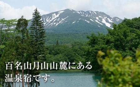 FYN9-562 山形県 西川町 月山志津温泉 変若水の湯 つたや 宿泊割引券 10000円分 温泉宿 旅行 出羽三山 宿泊チケット