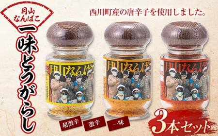 FYN9-644 山形県 西川町産 唐辛子使用！ 月山なんばこ 3種3本セット(超激辛・激辛・一味) 調味料 食品 香辛料 スパイス 唐辛子 とうがらし 辛い 手作り 命がけ 山形県 西川町 月山