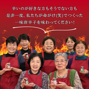 FYN9-644 山形県 西川町産 唐辛子使用！ 月山なんばこ 3種3本セット(超激辛・激辛・一味) 調味料 食品 香辛料 スパイス 唐辛子 とうがらし 辛い 手作り 命がけ 山形県 西川町 月山