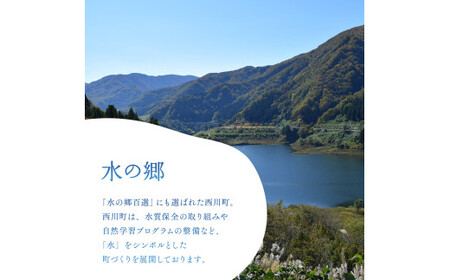FYN9-730 【定期便】月山自然水500ml×24本×6ヶ月コース 天然水 国産 備蓄 防災 保存 ペットボトル ナチュラル 山形県 西川町