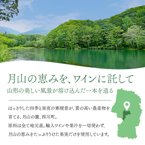FYN6-229 【月山トラヤワイナリー】 月山山麓（赤） ハーフボトル 360ml 赤ワイン 山形県 西川町