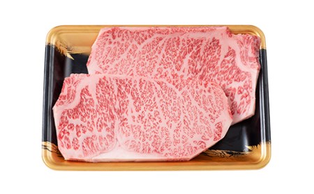 FYN9-785 山形県産 山形牛 A4等級以上 サーロインステーキ 2枚（200g×2） 黒毛和牛 肉 国産 ブランド牛 赤身 贅沢