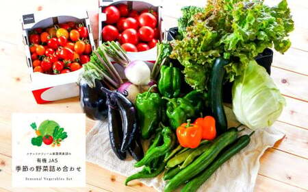 【有機JAS認定】【3ヶ月隔月定期便】 季節の野菜詰め合わせ ～有機野菜セットB～ 15種類～18種類 季節 野菜 野菜セット 有機野菜 有機 詰め合わせ セット